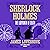 Sherlock Holmes: The Labyrinth of Death