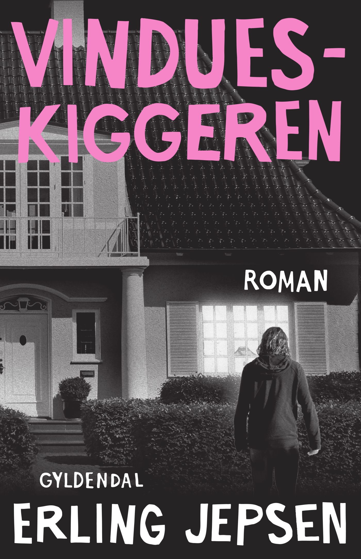 Vindueskiggeren (Familiehemmeligheder #4)