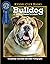 Bulldog (CompanionHouse Boo...