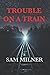 Trouble On A Train: More Tr...