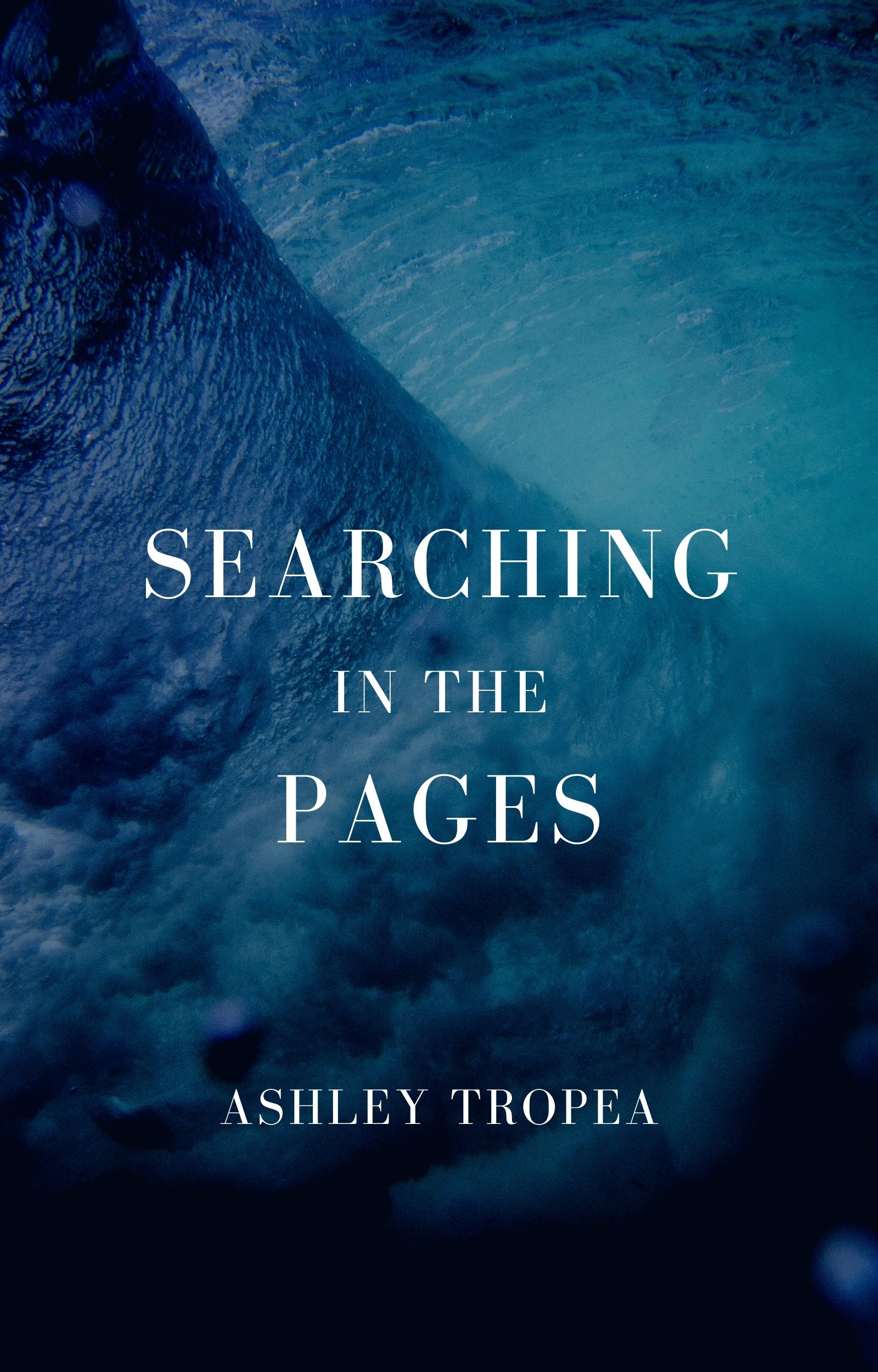 Searching in the Pages (Pirates Trilogy, #2)