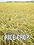 The Picture Book Of Rice Cr...