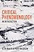 Critical Phenomenology: An Introduction