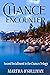 Chance Encounter (Chances Trilogy #2)