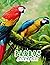 Parrot coloring book: Beautiful Coloring Book For Relaxation And Stress Relief, Awesome Illustrations For kids and Adults.