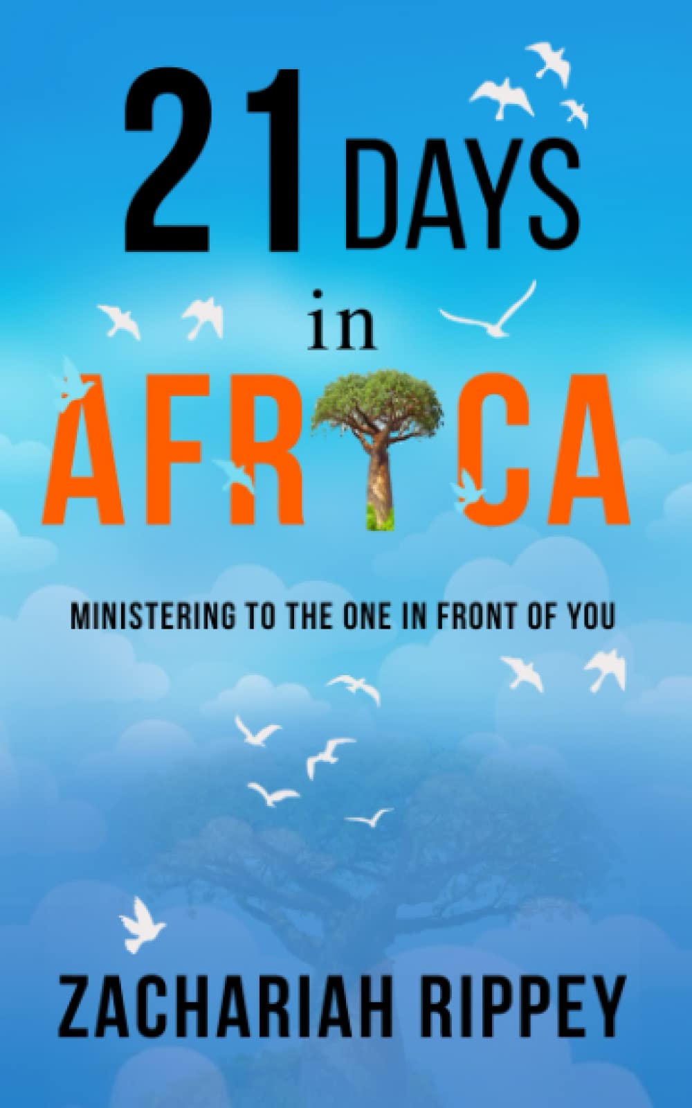 21 Days in Africa: Ministering to the One in Front of You (Paperback)