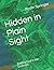 Hidden in Plain Sight: Finding God in the Ordinary