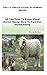 THE ULTIMATE GUIDE TO DORSET SHEEP: All You Need To Know About Dorset Sheep- How To Care For Dorset Sheep