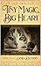 Tiny Magic, Big Heart: James Dutton's Fairy Tale Books Series (The Fairy Tale Books series - from James Dutton Book 1)