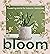 Bloom: Flowering Plants for Indoors and Balconies