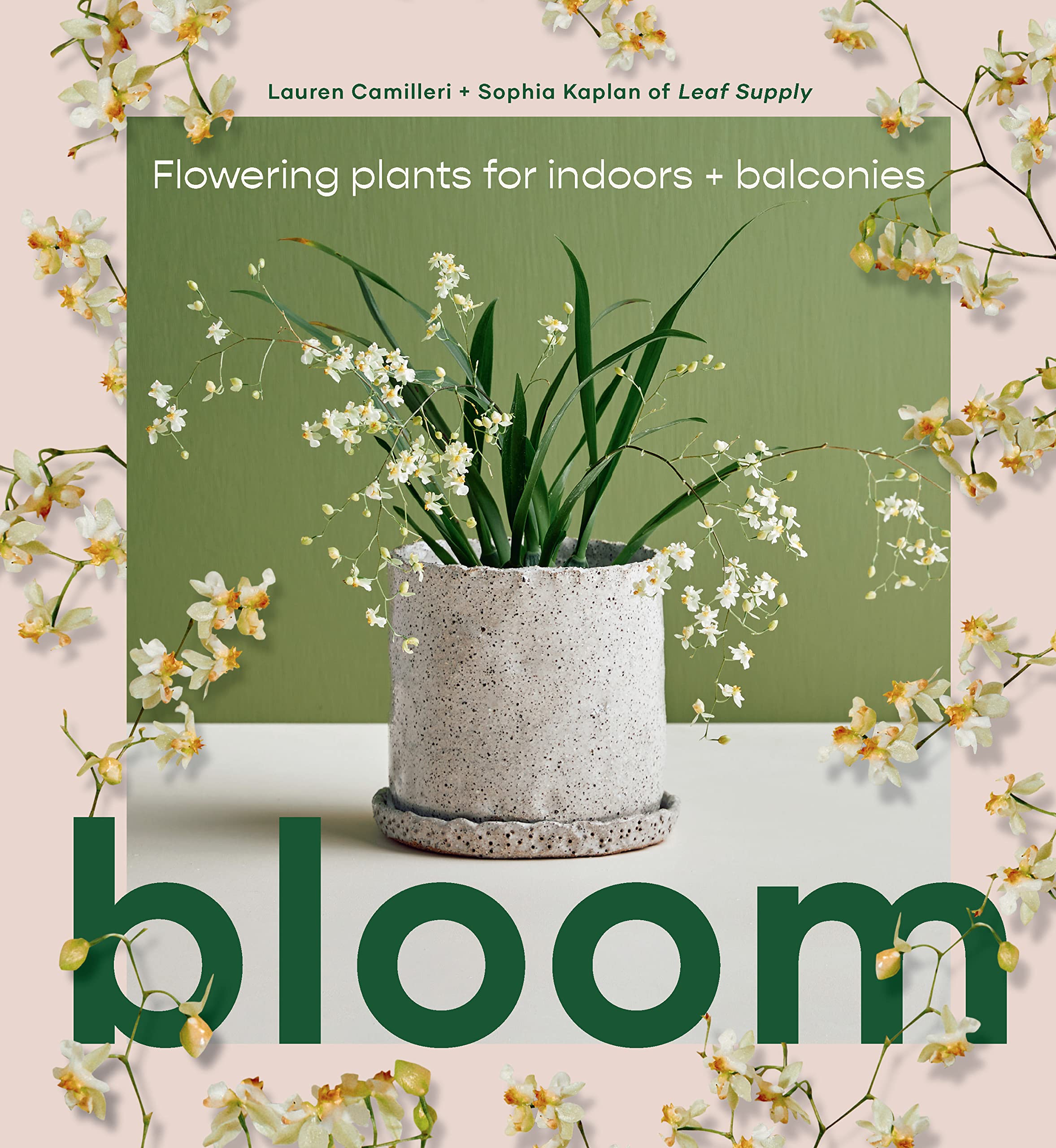 Bloom: Flowering Plants for Indoors and Balconies (Hardcover)