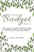 Family Budget Planner: Yearly, Monthly, and Weekly Finances Planner. Bills, Payments, Income, Accounts, Savings, Debt, Donations, and Other Expenses Tracker