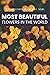 Most Beautiful Flowers In The World picture book for adults.: Made for adults with Dementia and Alzheimer's. Gift Book for Alzheimer's Patients and ... men and women. Easy and relaxing memory