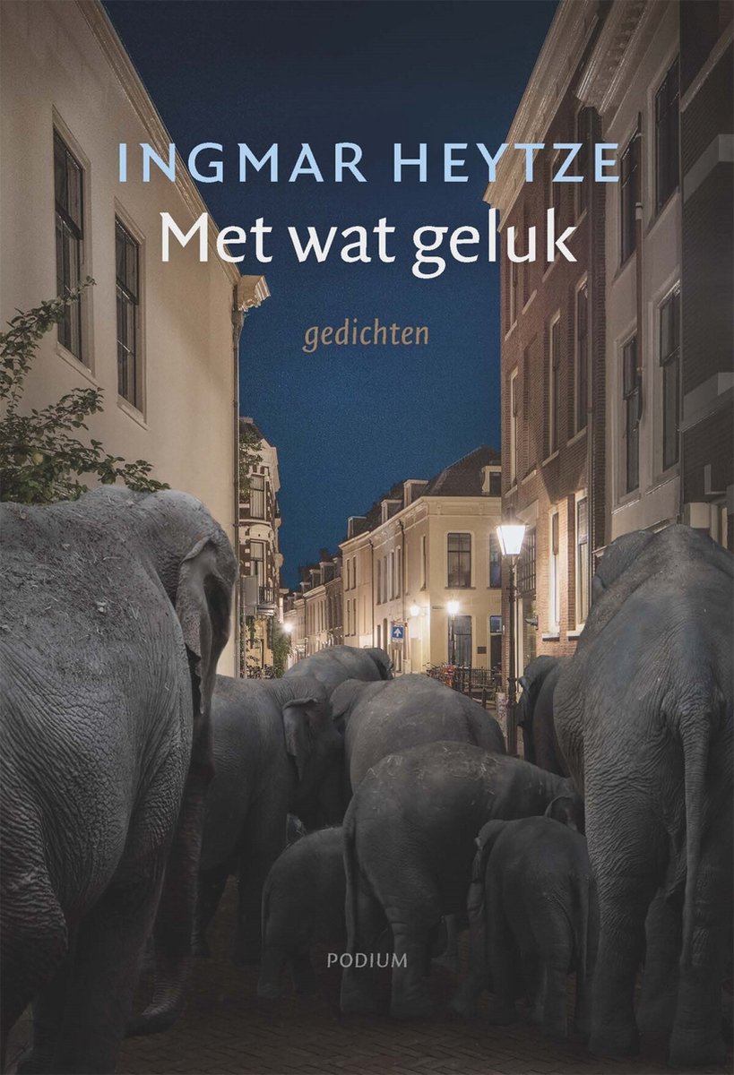 Met wat geluk (Mass Market Paperback)