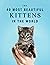 The 40 Most Beautiful Kittens in the World: A full color picture book for Seniors with Alzheimer's or Dementia