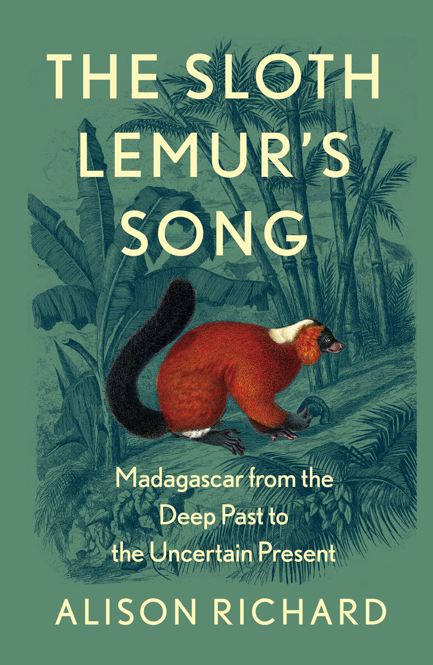 The Sloth Lemur’s Song: The History of Madagascar’s Evolution from the Deep Past to the Uncertain Present (Kindle Edition)