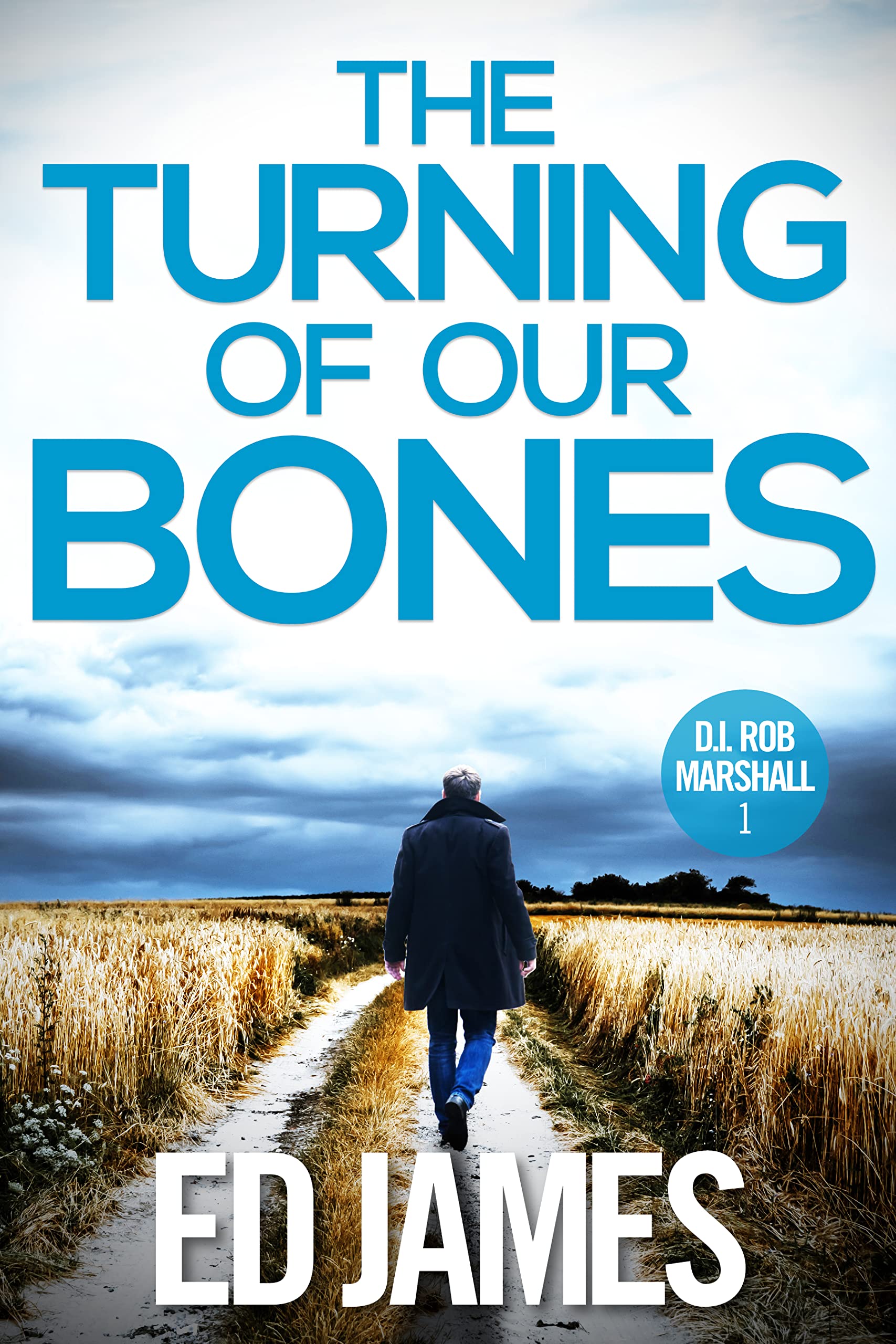 The Turning of our Bones (DI Rob Marshall #1)