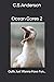 Ocean Gores 2: Gulls Just W...