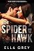 The Spider and the Hawk