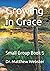 Growing in Grace: Small Gro...