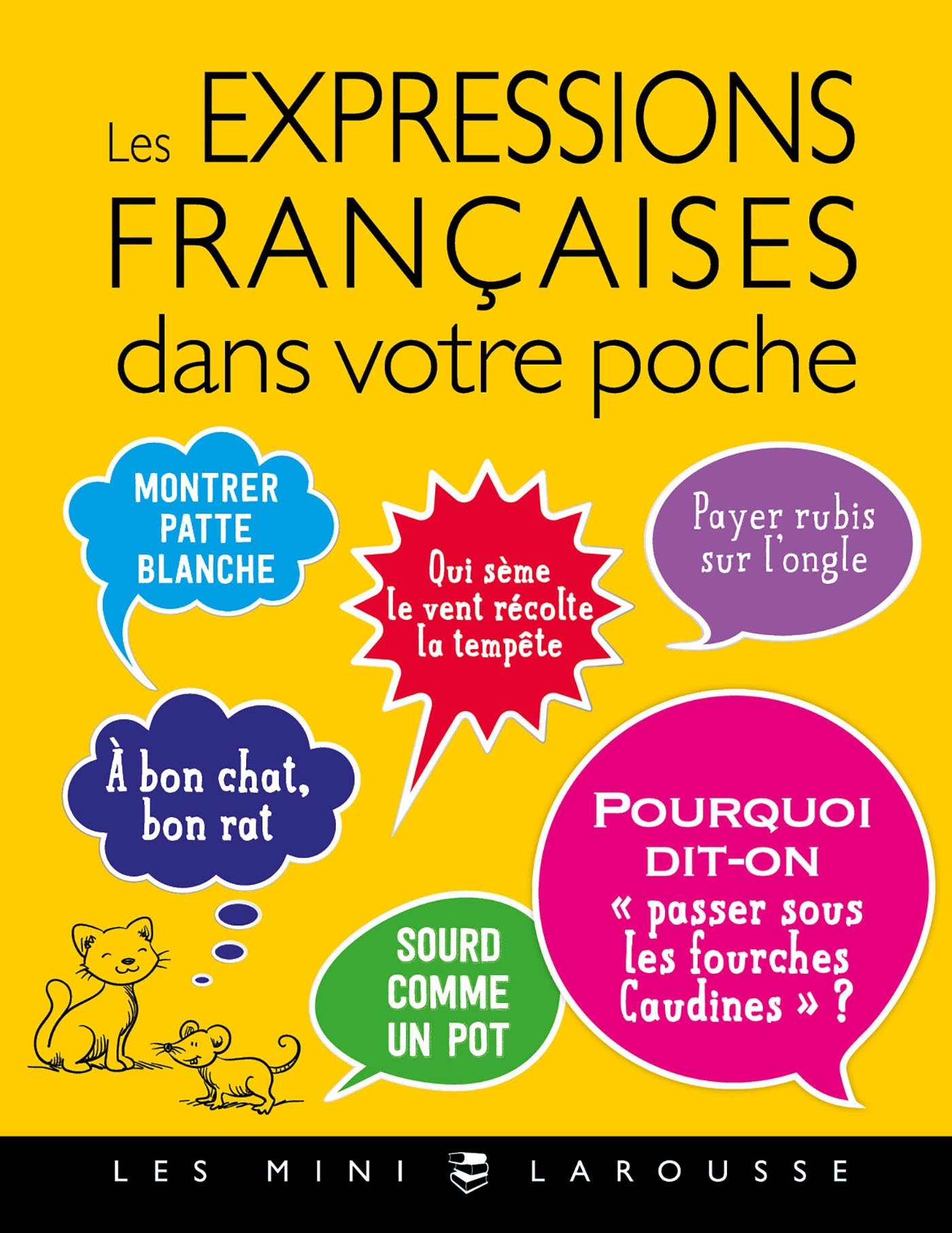 Les expressions Françaises dans votre poche (Les mini Larousse) (French Edition)