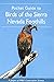 Birds of Sierra Nevada Foot...