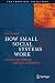 How Small Social Systems Wo...