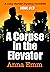 A Corpse in the Elevator (The Hinkel Cases, #13)
