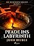 Pfade ins Labyrinth (Die Reisenden Magier, #1)