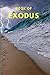 Book Of Exodus by Joe Mandera