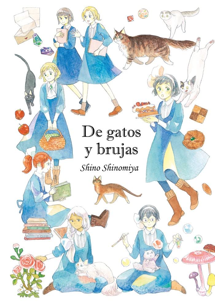 De gatos y brujas (Paperback)