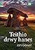 Cyfres Amdani: Teithio drwy Hanes (Welsh Edition)