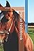 Horse Notebook: 150 page Co...