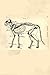 Cat Bones Journal: But You ...
