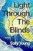 Light Through the Blinds by Sally  Young