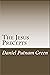 The Jesus Precepts by D.P. Green