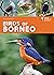 Birds of Borneo