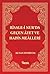 Risale-i Nur'da Gecen Ayet ve Hadis Mealleri by Kenan Demirtaş