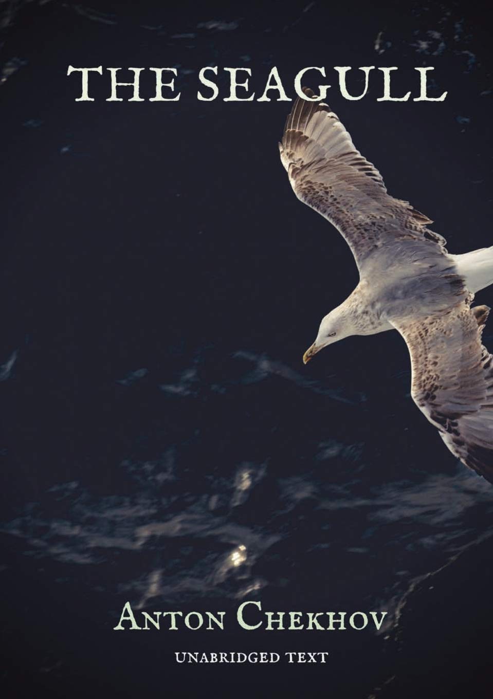 The Seagull: a play by Russian dramatist Anton Chekhov, written in 1895 and first produced in 1896. The Seagull is generally considered to be the ... artistic conflicts between four characters.
