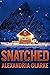 Snatched: A Small Town Riveting Kidnapping Mystery Boxset
