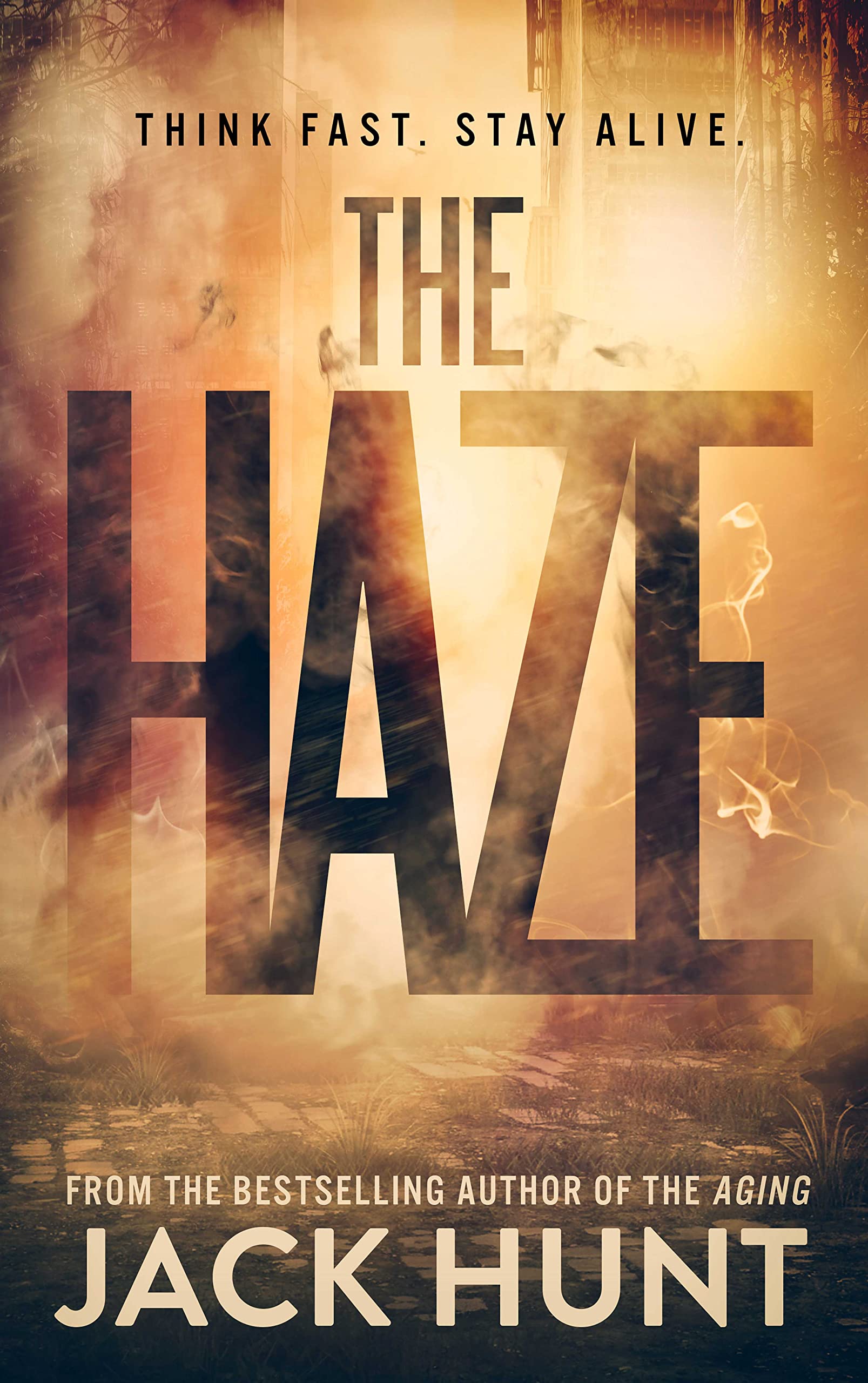 The Haze (Kindle Edition)