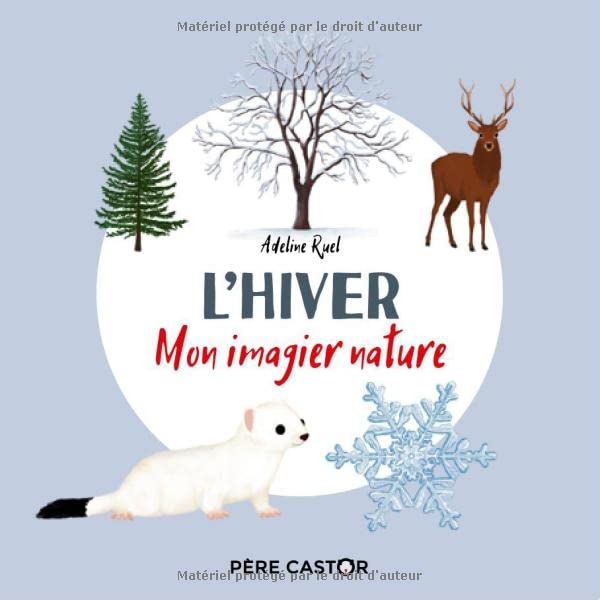 L'hiver: Mon imagier nature (Paperback)