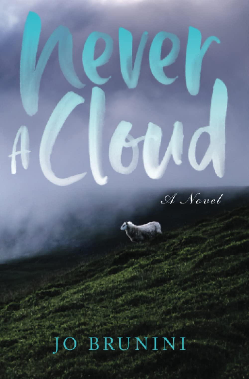Never a Cloud (Paperback)