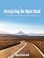 Navigating the Open Road: S...