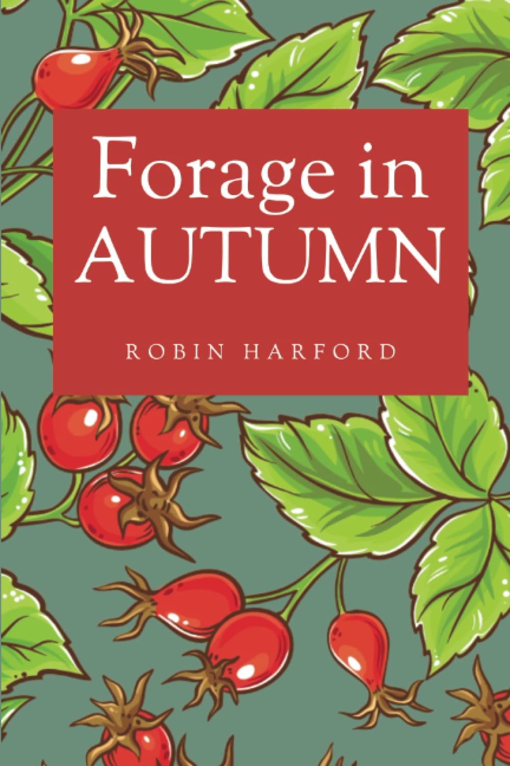 Forage in Autumn: The Food and Medicine of Britain’s Wild Plants (Paperback)