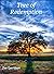 Tree of Redemption (Chris Hamilton #1)
