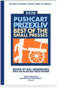Ylem by Mehreen Ahmed, 2020 Pushcart Nomination
