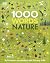1000 Words by Jules Pottle