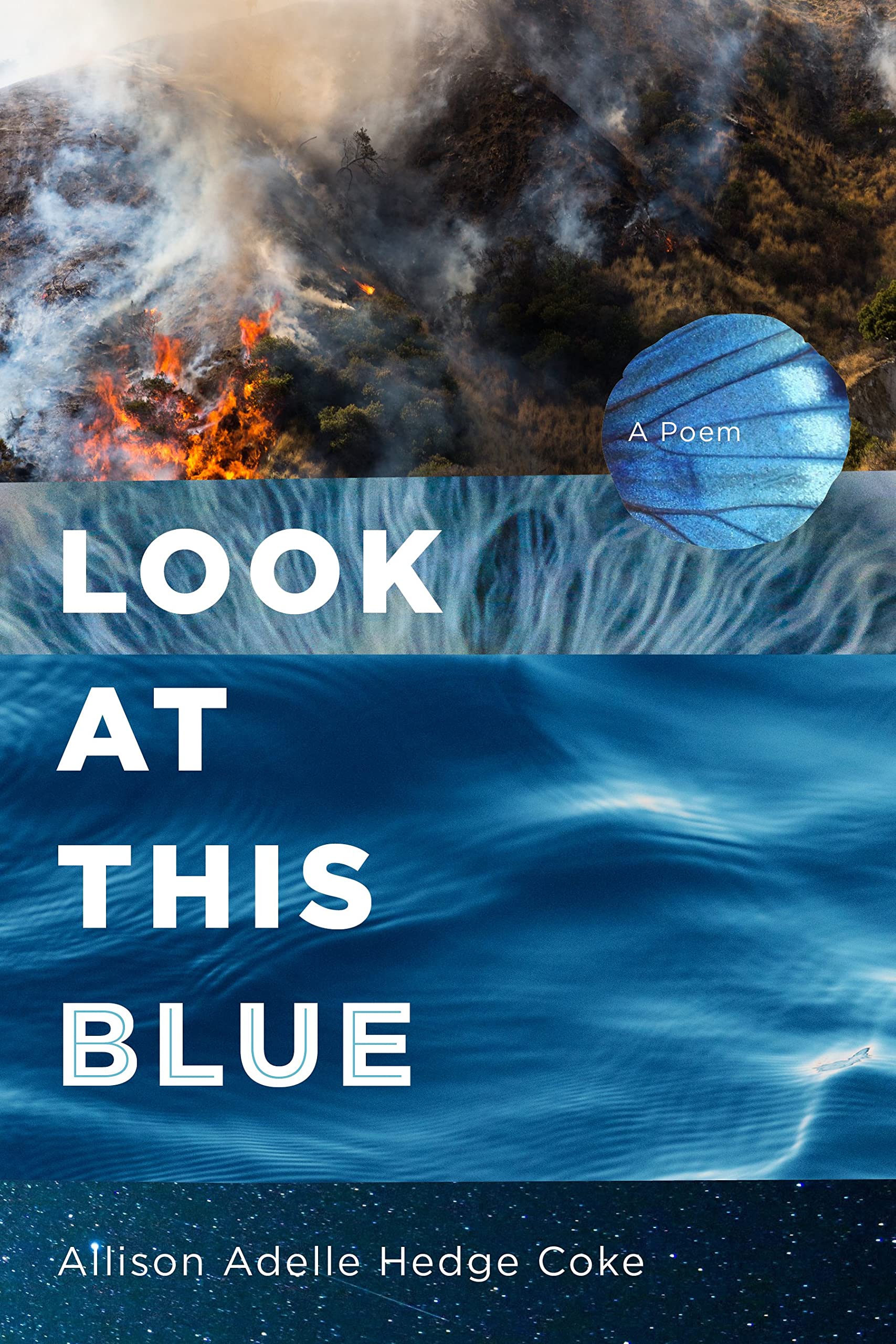 Look at This Blue (Paperback)