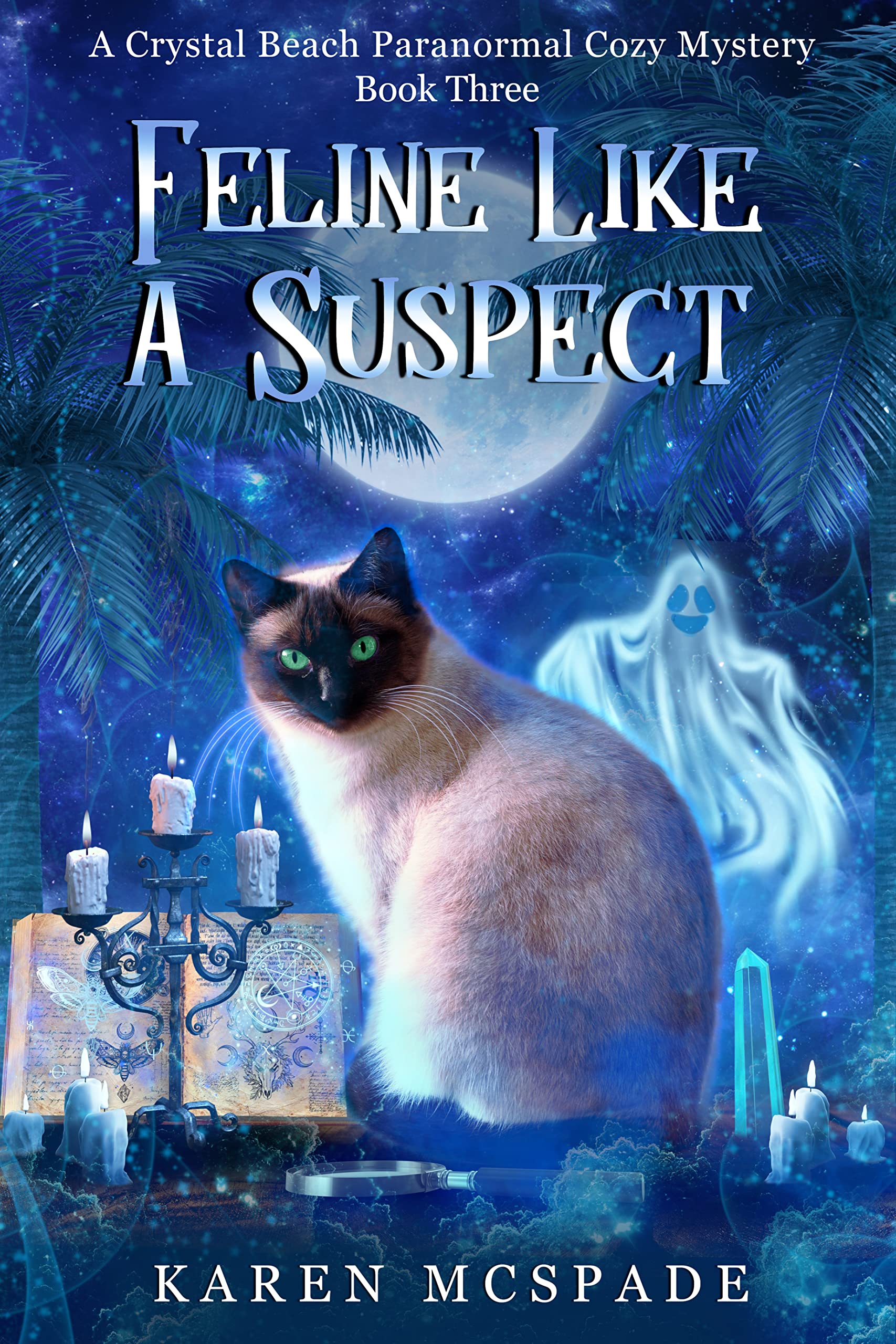 Feline Like a Suspect (Crystal Beach #3)